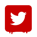 ico_twitter